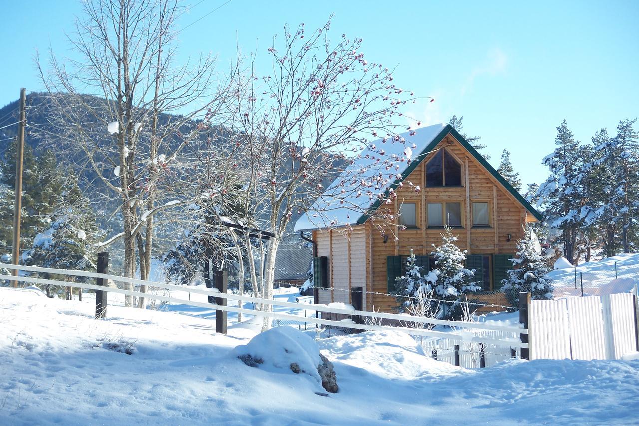 Kuca U Borju - House In Pines Žabljak Exterior foto
