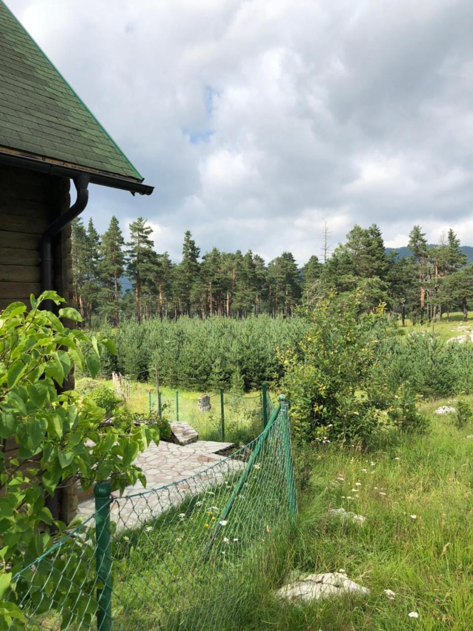 Kuca U Borju - House In Pines Žabljak Exterior foto