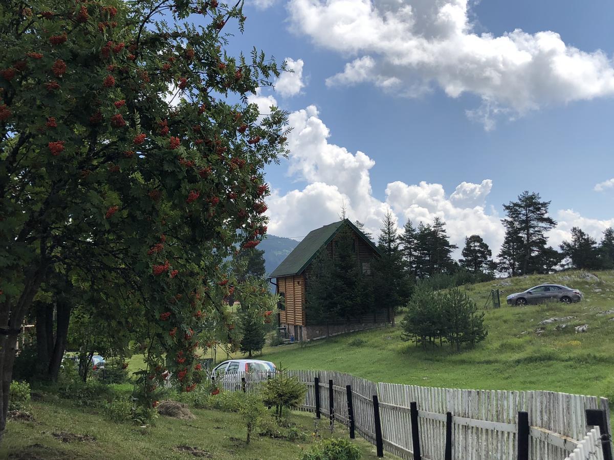 Kuca U Borju - House In Pines Žabljak Exterior foto